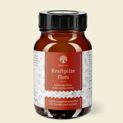 Waldkraft - Flora - Amestec pulbere de ciuperci &amp;ndash; vitalitate - p foto