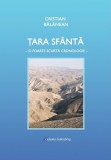 Tara Sfanta. O foarte scurta cronologie - Cristian Balanean - Galaxia Gutenberg