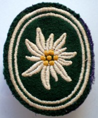 M.119 GERMANIA EMBLEMA ECUSON PATCH MILITAR BUNDESWEHR Gebirgsj&auml;gerbrigade 22