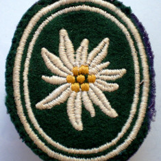 M.119 GERMANIA EMBLEMA ECUSON PATCH MILITAR BUNDESWEHR Gebirgsjägerbrigade 22