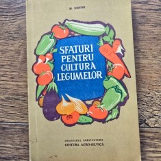 Sfaturi pentru cultura legumelor - M. Nistor