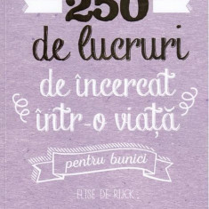 250 de lucruri de incercat intr-o viata, pentru bunici | Elise de Rijck