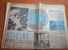 magazin 7 decembrie 1963-articolul sticlarii,staua fara nume la baia mare foto