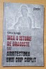 Inca o istorie de dragoste sau arhitectura unui chip cioplit de Liviu Lungu, Corint