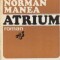 Atrium (Variante la un autoportret)