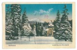 4425 - SINAIA, Pelisor Castle, Romania - old postcard - used - 1930, Circulata, Printata