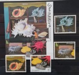 Somalia-SCOICI MARINE- SERIE 4 V.+ 1 COLITA-.MNH**.SOM 119B