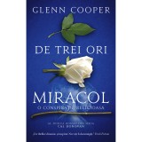 De trei ori miracol, Glenn Cooper, Rao