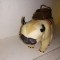 bnk jc Figurina Avatar Last Airbender - Appa