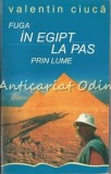 Cumpara ieftin Fuga In Egipt, La Pas Prin Lume? - Valentin Ciuca - Dedicatie Si Autograf