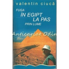Fuga In Egipt, La Pas Prin Lume - Valentin Ciuca - Dedicatie Si Autograf