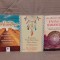 INIMA SAMANULUI/SAMAN,VINDECATOR,INTELEPT/CELE PATRU INTROSPECTII-ALBERTO VILLOLDO