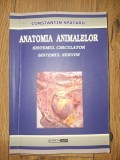 Anatomia animalelor Sistemul circulator Sistemul nervos- Constantin Spataru