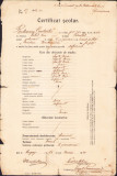 HST 427S Certificat școlar C-tin Rudneanu 1920 Lugoj semnat olograf B&icirc;rlea