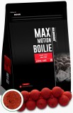 Haldorado - Boilies Max Motion Boilie Long Life 16mm, 800g - Big Fish (fructe)