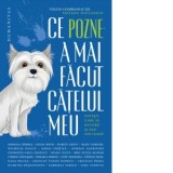 Ce pozne-a mai facut catelul meu. Povesti care se bucura si dau din coada - Tatiana Niculescu