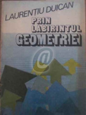 Prin labirintul geometriei (Ed. Albatros) foto