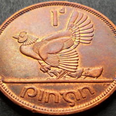 Moneda 1 PINGIN - IRLANDA, anul 1965 *cod 1068 = COCOS / UNC!
