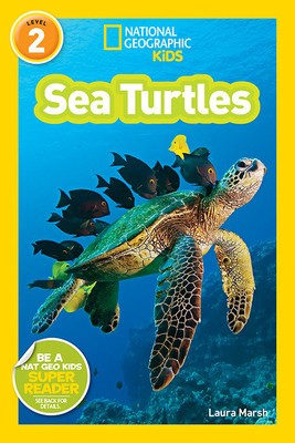 Sea Turtles foto