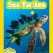 Sea Turtles