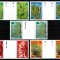 Falkland 1979, Mi #279-283**, flora, plante subacvatice, MNH! Cota 13,50 &euro;!