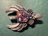 Insigna Navigator aviatie militara dupa 2000 serie 0002