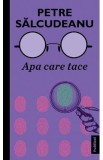 Apa care tace - Petre Salcudeanu