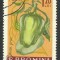 EROARE ROMANIA 1963 LP 556 CULTURA LEGUMELOR TIMPURII CTO