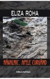 Navalnic, apele curgand - Eliza Roha