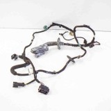 Cablaj Usa Dreapta Spate Chevrolet Volt 2012 OEM 22896695, 11028191 Original