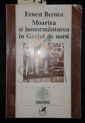 MOARTEA SI INMORMANTAREA IN GORJUL DE NORD foto