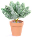 Decor de Craciun MagicHome cu crengute ninse in ghiveci, 20 cm