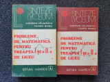 PROBLEME DE MATEMATICA PENTRU TREAPTA I SI A II-A - Calugarita, Mangu (2 volume)