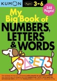 My Big Book of Numbers, Letters &amp; Words
