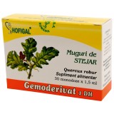 Gemoderivat muguri stejar 1,5ml*30mdz, Hofigal