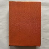 Irving Stone - Agonie si extaz - 1966