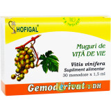 Muguri de Vita de Vie 30monodz