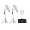 Set iluminat de studio, 2x trepied, 2x becuri 150w 5500k, 2x umbrele de studio si geanta transport