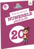 Fise de exersat NUMERELE PANA LA 20. Bun la mate - Gama