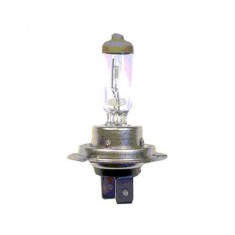 Bec Far H7 24V 70W PX26D Sct
