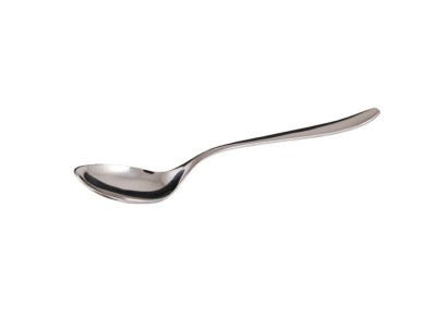 Lingura inox pentru servire 22.5 cm foto