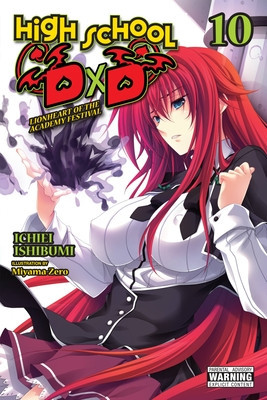 High School DXD, Vol. 10 (Light Novel) foto