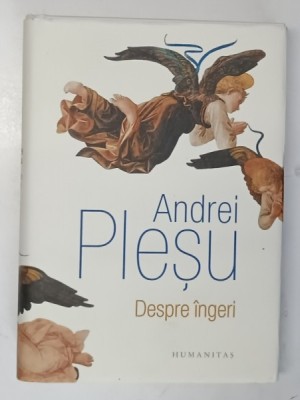 DESPRE INGERI de ANDREI PLESU 2016 foto