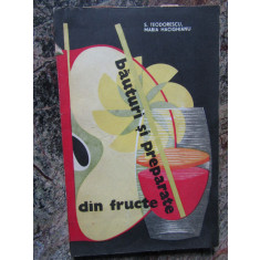 S. Teodorescu - Bauturi si preparate din fructe (editia 1968)