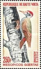 Haute Volta 1964 - Airmail, pasari, neuzata