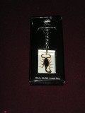 D8 78 - Breloc - tematica insecte - scorpion