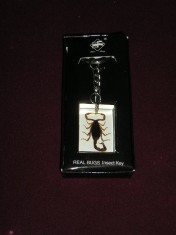 D8 78 - Breloc - tematica insecte - scorpion