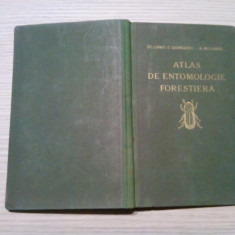 ATLAS DE ENTOMOLOGIE FORESIERA - P. I - Const. C. Georgescu(autograf) -1931, 86p