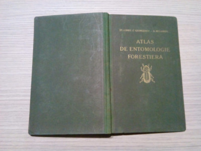 ATLAS DE ENTOMOLOGIE FORESIERA - P. I - Const. C. Georgescu(autograf) -1931, 86p foto