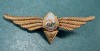 Insigna Navigator Aerian Cl 1 aviatie militara 1966 1977 RSR